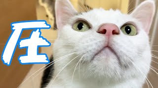 チロさんが娘の部屋に入りたがる理由は…？