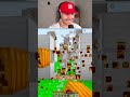 REALMENTE IL WITHER SI È DISCONNESSO...