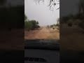 الهدوء قبل العاصفة،❤️❤️