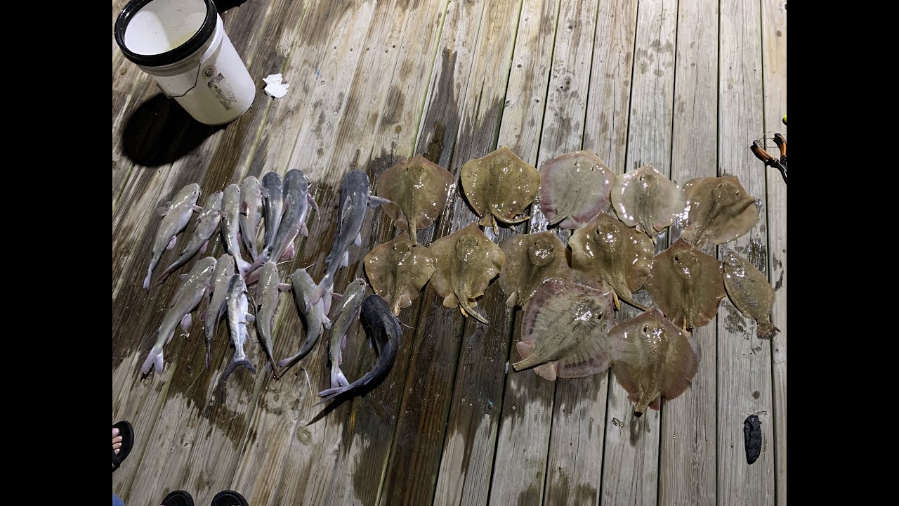 Catching Crabs, Flounder, and Sharks in Galveston and Freeport May 2020