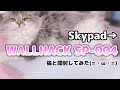 【WALLHACK SP-004】Skypadがリブランディング！猫と開封してみた！【開封動画】 thumbnail