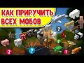 КАК ПРИРУЧИТЬ ВСЕХ МОБОВ В Minecraft 1.16 | как приручить лису майнкрафт кошку ламу пчелу черепаху