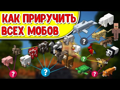 КАК ПРИРУЧИТЬ ВСЕХ МОБОВ В Minecraft 1.16 | как приручить лису майнкрафт кошку ламу пчелу черепаху