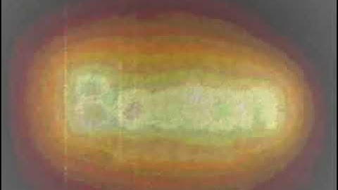 (REQUESTED) Effects of Windows Movie Maker Reversed