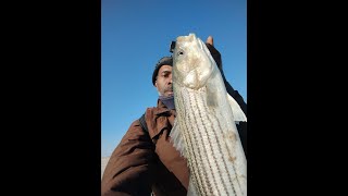 Striped Bass fishing ( April 26,2024 ) After Work Trip