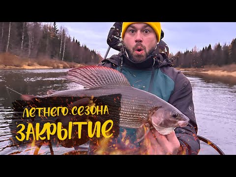 ЗАКРЫТИЕ ЛЕТНЕГО СЕЗОНА 2024 | ХОЛОД СОБАЧИЙ | ПОЙМАЛИ ГИГАНТСКОГО ХАРИУСА