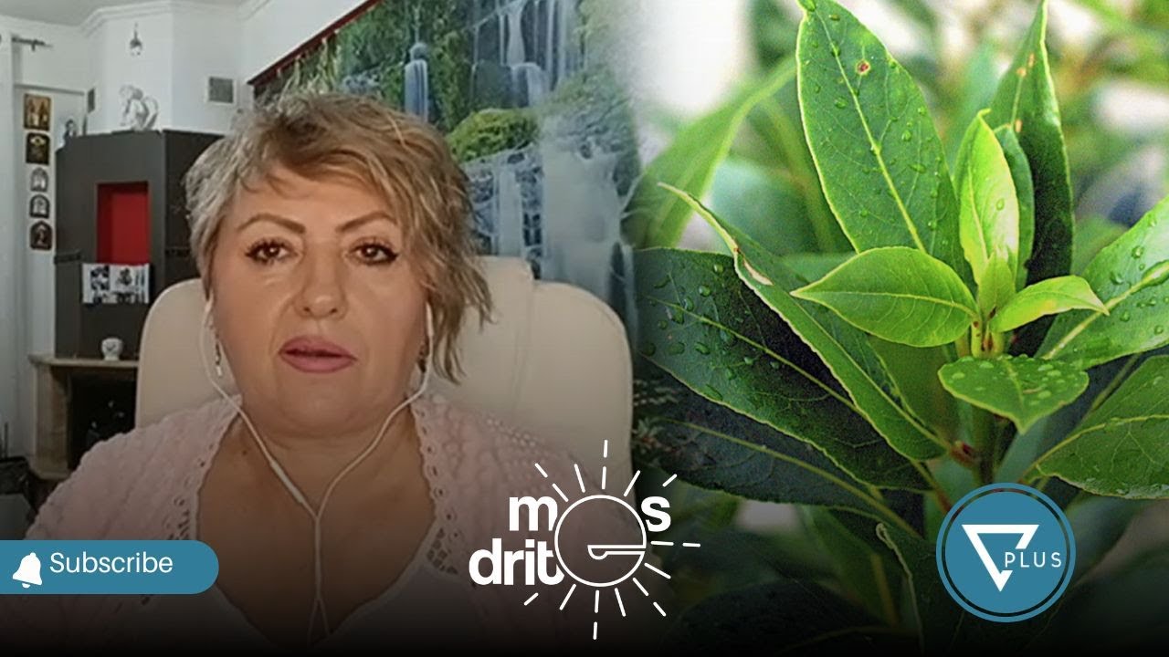 Doni PARA? Ja rituali që duhet të bëni çdo ditë sipas Meritës! -  