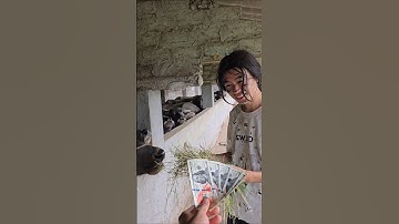 Tình yêu của người mẹ nghèo... câu chuyện chạm đến trái tim