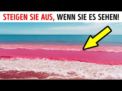 Video: Studie: Haustier Eltern wollen mehr natürliche und organische Produkte