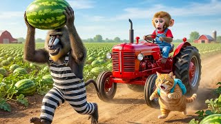 🍉🐵🐱 Monkey & Fat Cat Help Police Catch a Watermelon Thief and Make Watermelon Smoothies Together