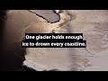 One glacier holds enough ice to drown every coastline #shorts