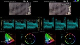 Leader ZEN Series 3D LUT Introduction Guide