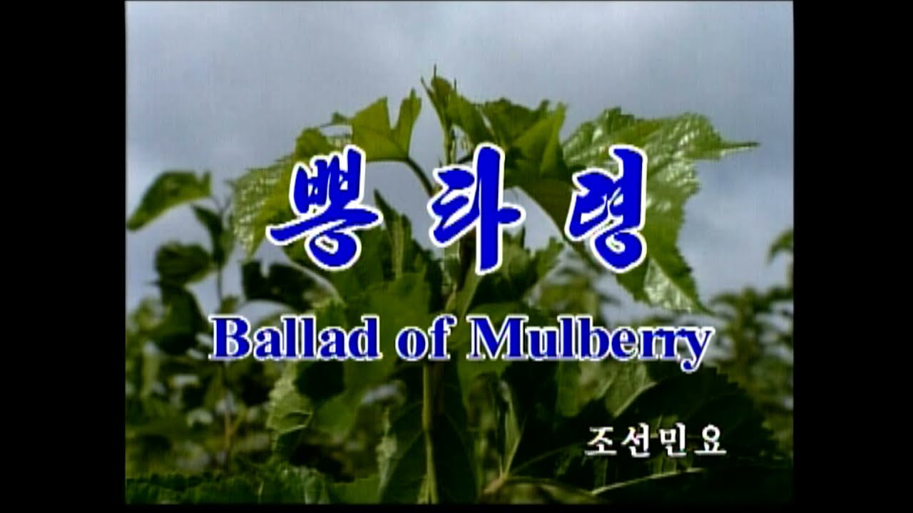 朝鮮民謡シリーズ/KOREAN SONGS 《뽕타령》 - YouTube