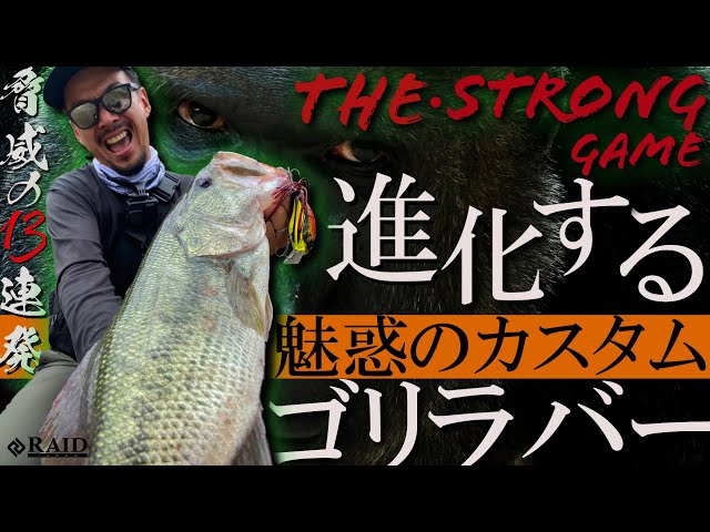 RAIDJAPAN] The Evolving Allure of the Custom 