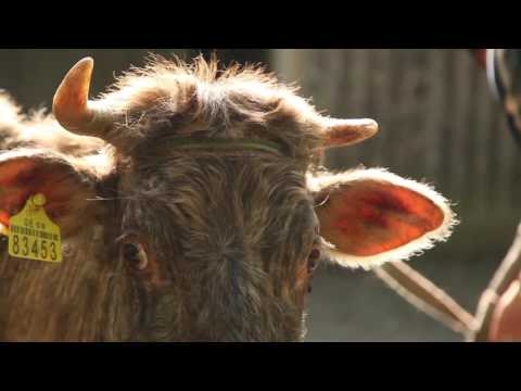 ორსანტიას მოსახლეობა პროექტის შესახებ