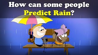 How can some people Predict Rain? + more videos | #aumsum #kids #science #education #children