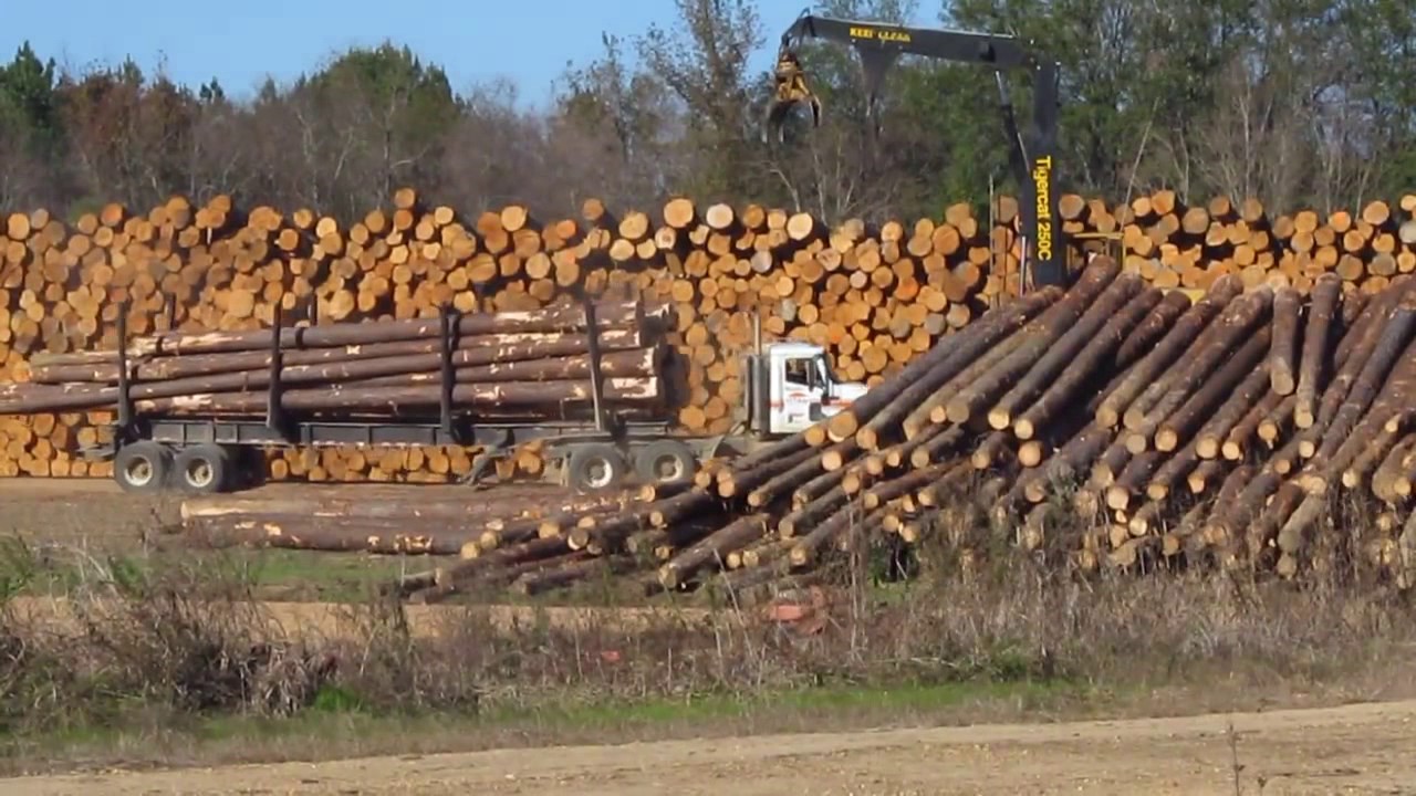 (2015-12-07) Tigercat 250C Knuckleboom Loader Unloading Trucks in Rex Lumber's Timber Yard