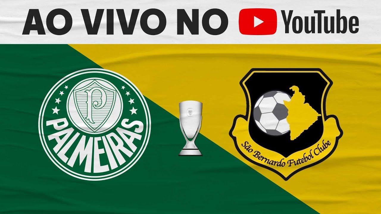 Palmeiras x Novorizontino: Assista AO VIVO e online