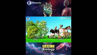 Most Students Get Classification Wrong 😬 #BiologyShorts #NEETBiology