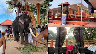 @Pisharikavu temple| അമ്മയും ഞനും അങ്ങനെ ആംബലതിൽ പൊയി | temple visit screenshot 2