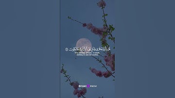 طالب الازهر يبدع فى القران💕✨#القارئ_محمد_احمد_حسن #طالب_الازهر #قرآن