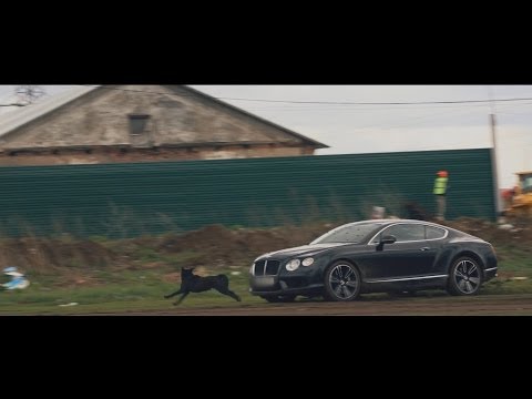 Видео: Bentley Continental GTC Преглед на скоростта