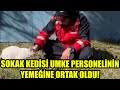 UMKE PERSONELİNİN SOKAK KEDİSİYLE YEMEĞİNİ PAYLAŞTIĞI ANLAR İÇİMİZİ ISITTI!