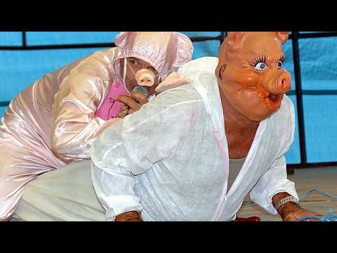 Competitors squeal like pigs at French village championship