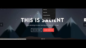 Salient Responsive Multi Purpose Theme