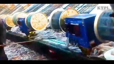 Tàu câu mực tự động trúng lớn