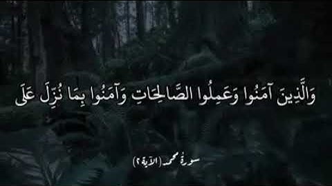 آياتٌ مختارةٌ مِنَ الذكرِ الحكيم سورةُ محمد (الآية ٢)#أهل_القرآن_الأبرار