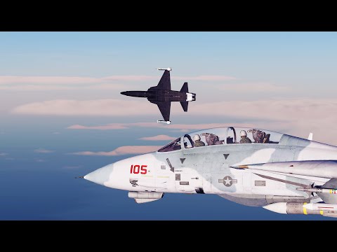 Like TOP GUN But Without The Sappy Love Story (F-14B Tomcat VS F-5E Tiger II) [DCS Dogfight]