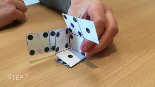 6 Sided Die Problem