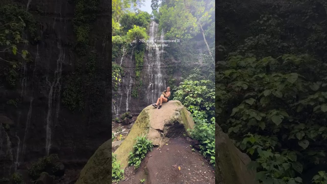 Dog travel over solo travel ❤️ 