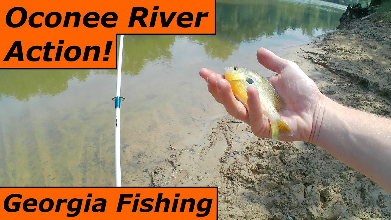 Catching Fish On The Oconee River! 2026 Georgia Fishing