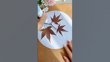 Làm tranh sáng tạo từ chiếc lá 🍁 🍁 #handmade #choicungcon #thucong
