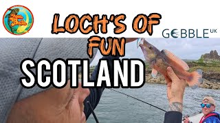 Boat Fishing | Northwest Scotland | Scottish Highlands | Lures | Hairy Pollocks Fishing | NEW |