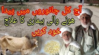 Janwero Min Pada Honay Wali Bemari Ka Illag Khud Karen ?Youtube Chinnal Zartv
