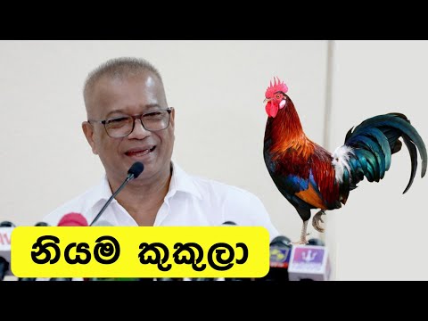 ‘නියම කුකුලා’ ලාල්කාන්තගෙන් පට්ටම කතාවක්