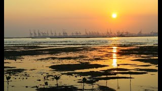 20230120 香港元朗流浮山生態保育   濕地篇 香港扶幼會則仁中心學校