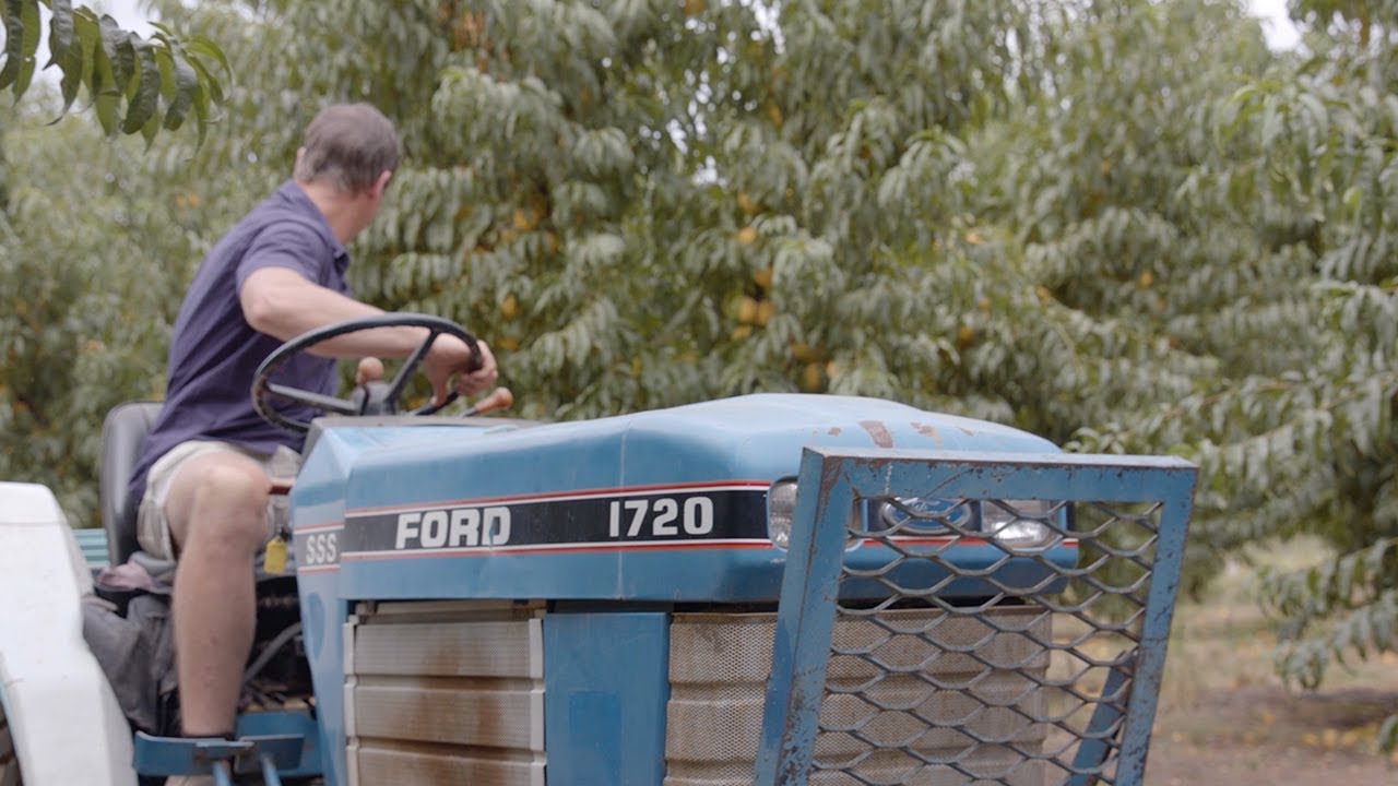 online videos youtube Profile Video - SPC - Peaches