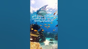 تلاوة خاشعة #سورة الفلق#تملأ القلب بالسكينة 🌿✨#short#coran#