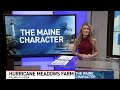 Hurricane Meadows Sunflower Festival brings fall fun to Falmouth