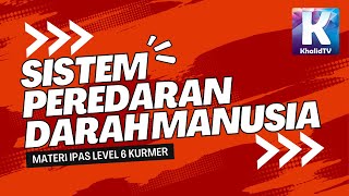 Sistem Peredaran Darah Manusia | IPAS Fase C Level 6 | Kurikulum Merdeka