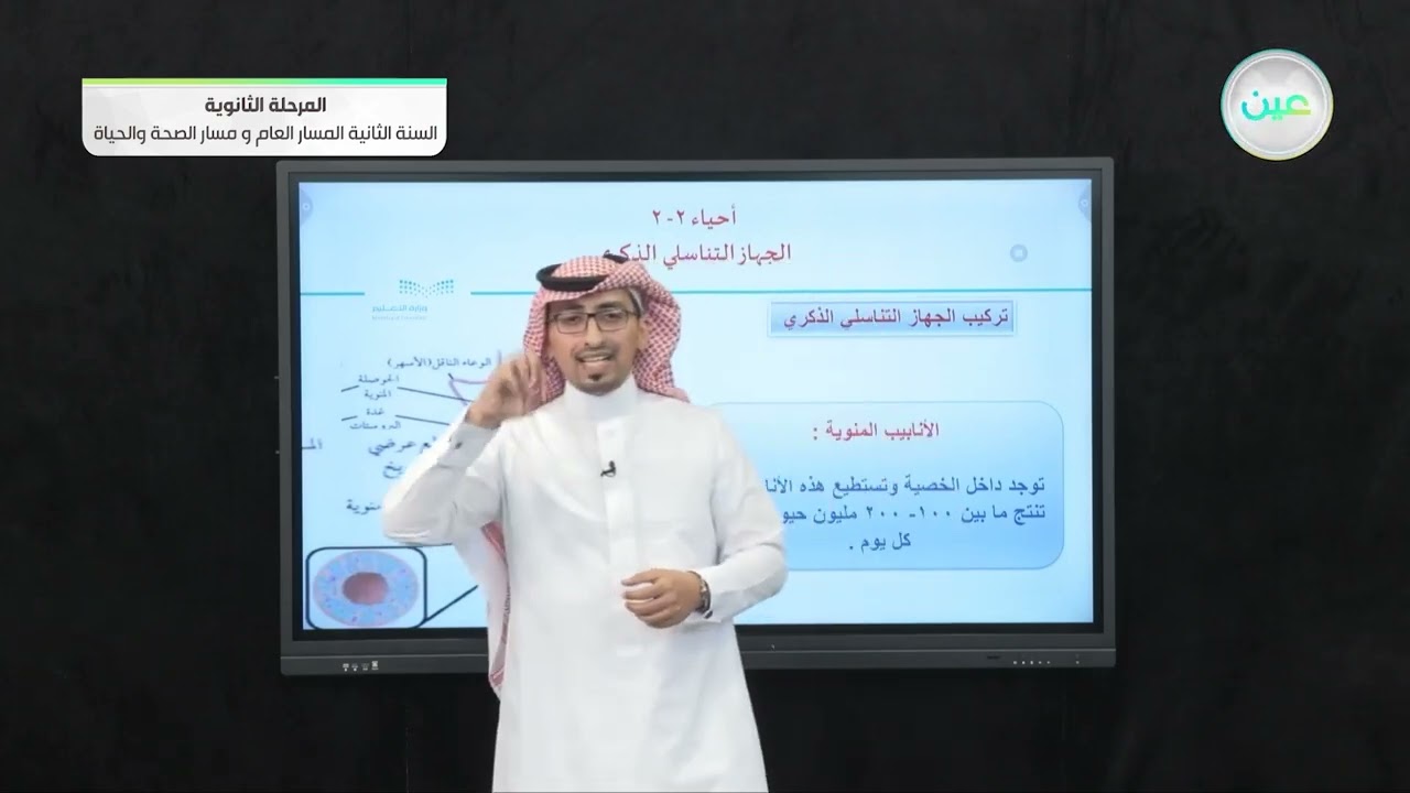 الجهاز التناسلي الذكري - الأحياء (2-2) - المسار العام والصحة والحياة - السنة الثانية