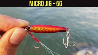 Ultralight Jig Lure Fishing - Jackson Gallop Baby