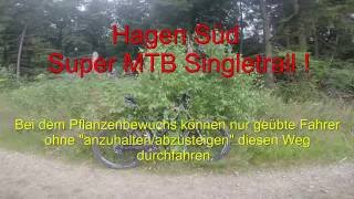 Hagen Süd MTB Mountainbike Singletrail Sommer