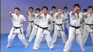 Kyokushin karate encyclopedia 1.