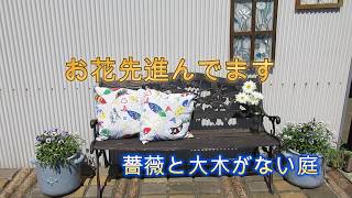 パンジーが大賑わいです - YouTube