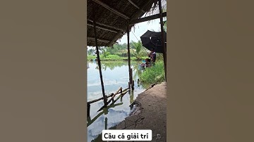 Hồ câu cá Trung Hiếu long hậu cần giuộc Long An 2024